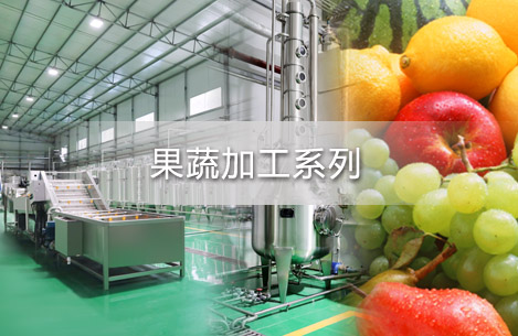 果蔬加工系列